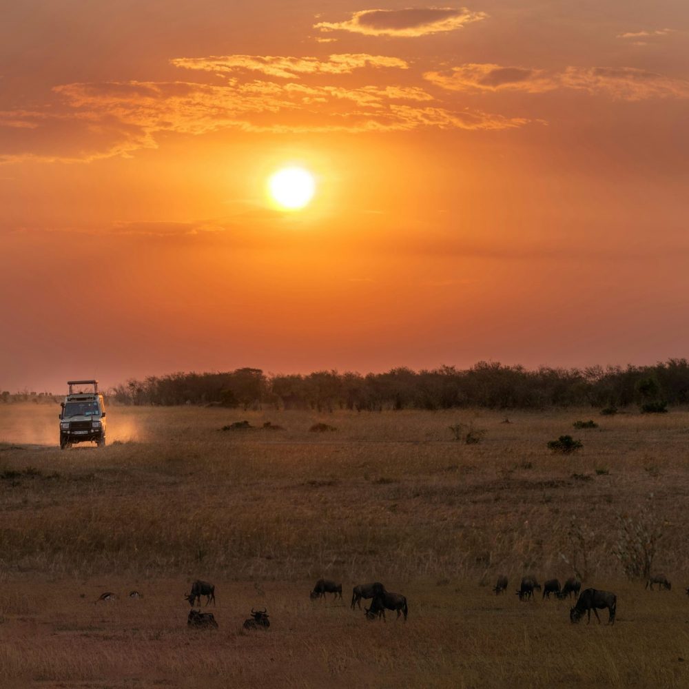 pexels-490714164-28157155